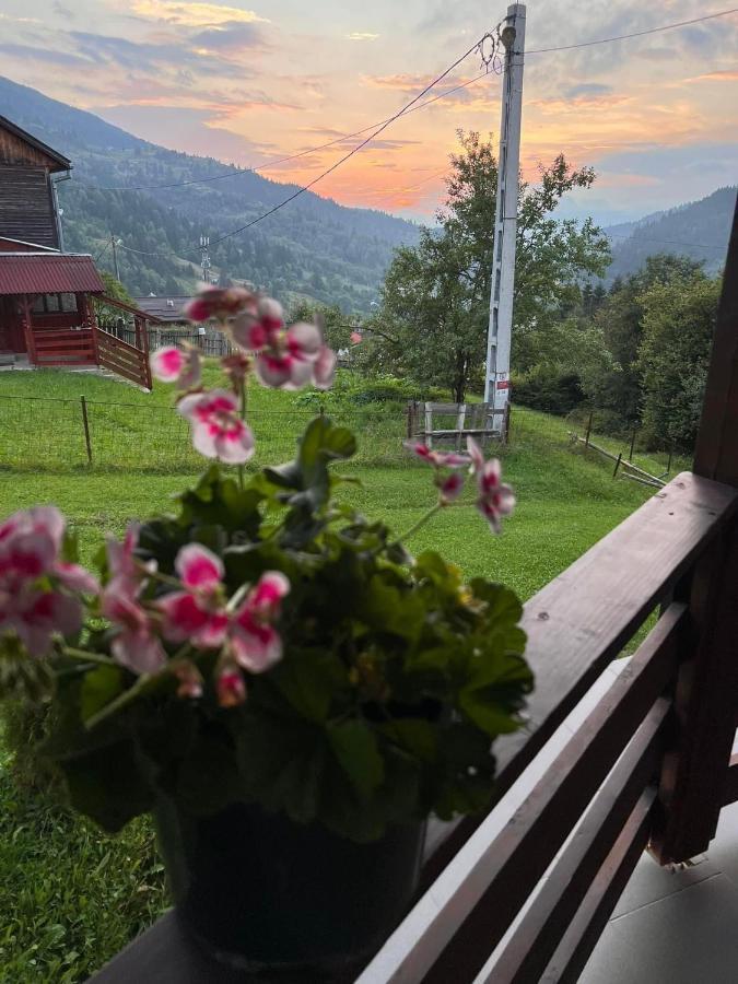 Casa Viorica Otel Statiunea Dış mekan fotoğraf