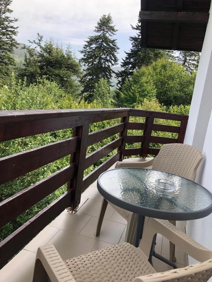 Casa Viorica Otel Statiunea Dış mekan fotoğraf
