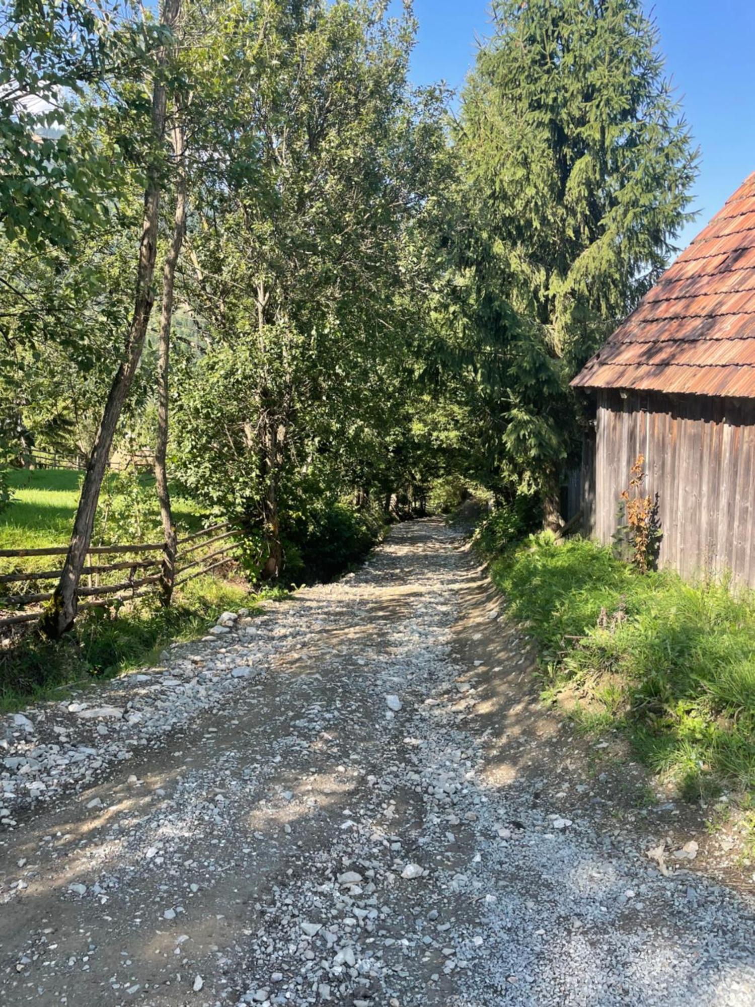 Casa Viorica Otel Statiunea Dış mekan fotoğraf